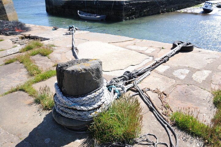DSC_1865.jpg
