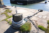 DSC_1865.jpg