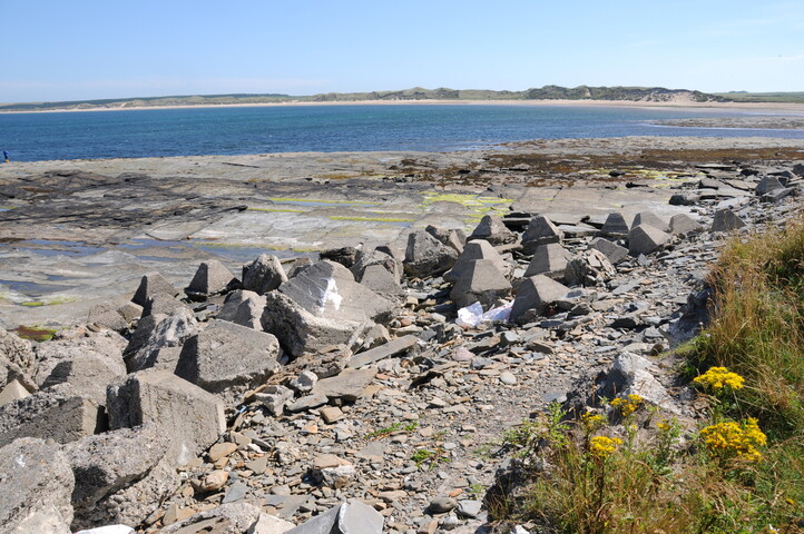 DSC_1871.jpg