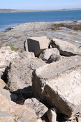 DSC_1872.jpg