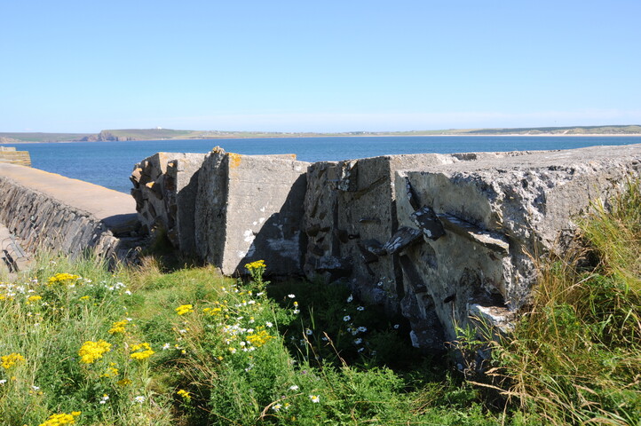DSC_1873.jpg