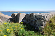 DSC_1873.jpg