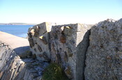 DSC_1874.jpg