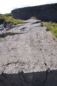 DSC_1876.jpg