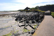 DSC_1877.jpg