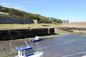 DSC_1880.jpg