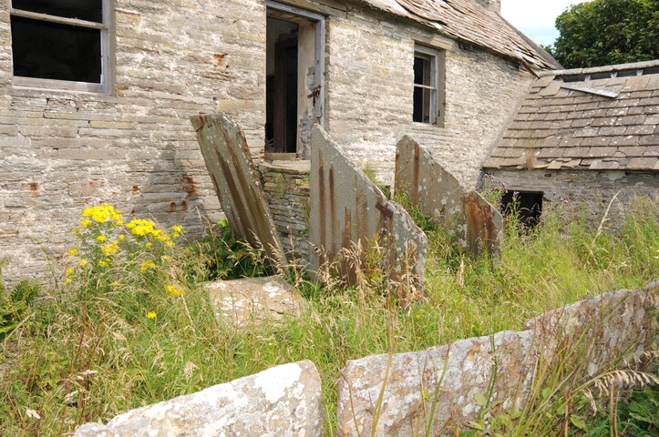 DSC_1901.jpg