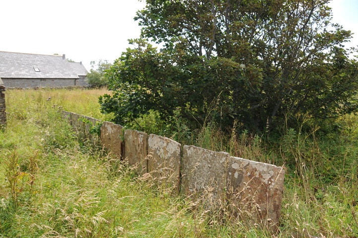 DSC_1903.jpg