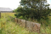 DSC_1903.jpg