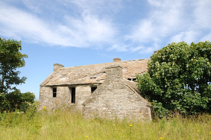 DSC_1905.jpg