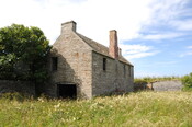 DSC_1907.jpg