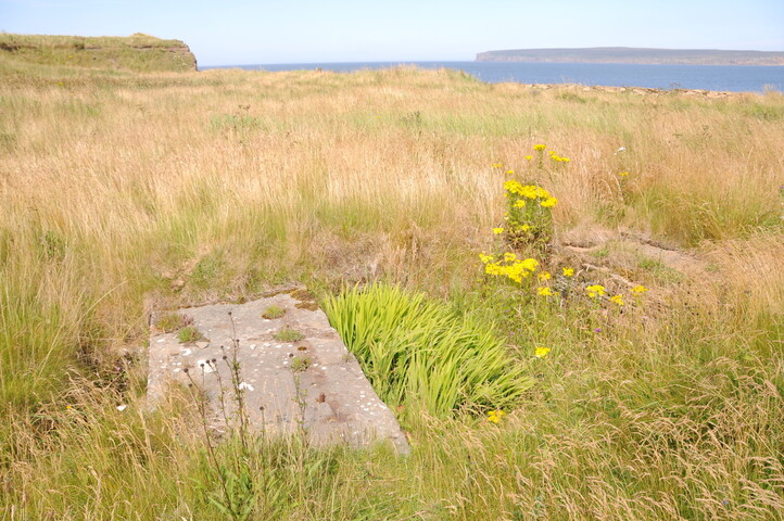 DSC_1911.jpg