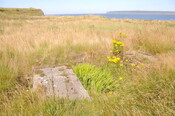 DSC_1911.jpg