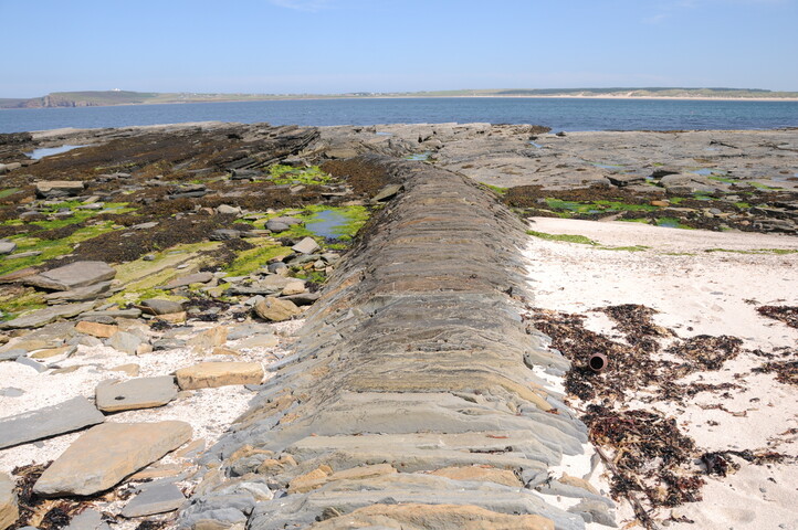 DSC_1920.jpg