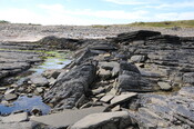 DSC_1922.jpg