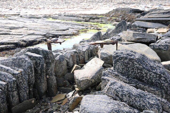 DSC_1923.jpg