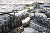 DSC_1923.jpg