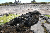 DSC_1924.jpg