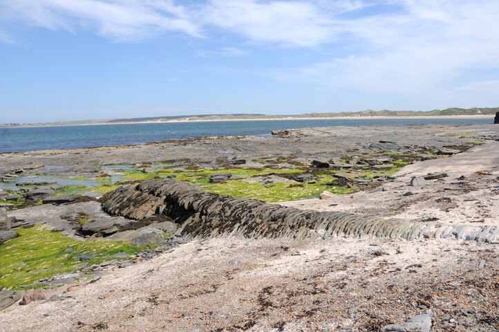 DSC_1925.jpg