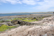 DSC_1925.jpg