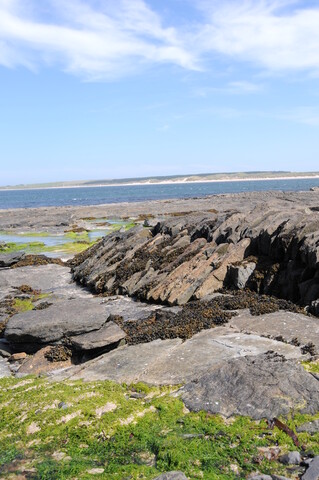 DSC_1926.jpg