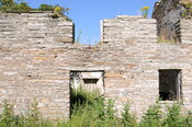 DSC_1793.jpg