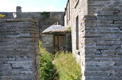 DSC_1848.jpg