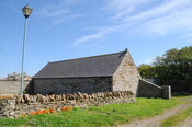 DSC_1894.jpg