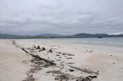 DSC_1952.jpg