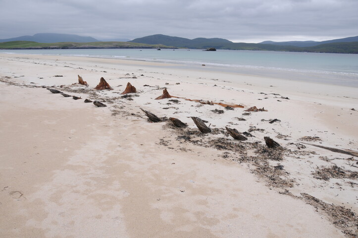DSC_1953.jpg