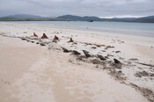 DSC_1953.jpg