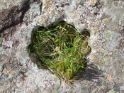 CentreHole1.jpg