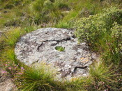 millstone1.jpg