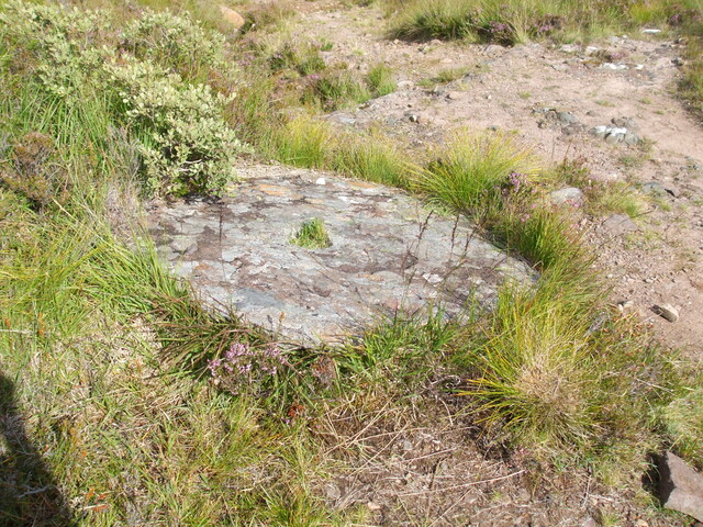 millstone2.jpg