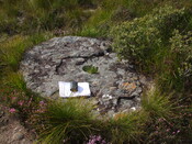 millstone2_scaleA4paper.jpg