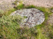 millstone3.jpg