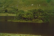 PS_008.jpg