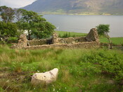 p45 005.jpg
