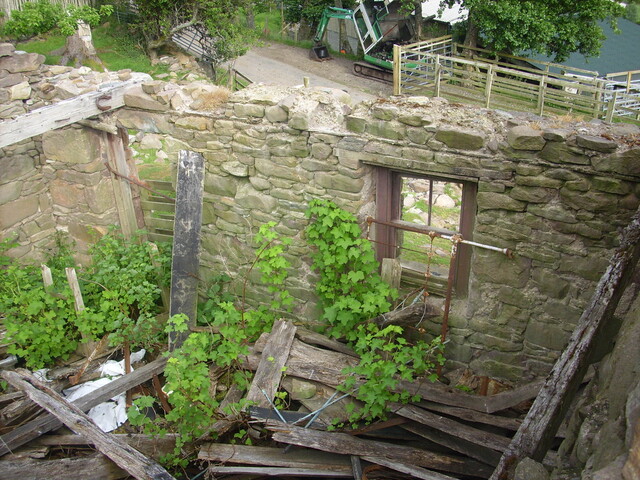 p45 010.jpg