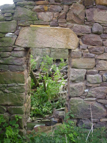 p45 017.jpg