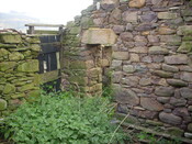 p45 018.jpg