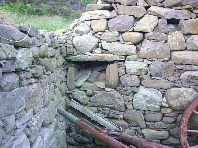 p45 019.jpg