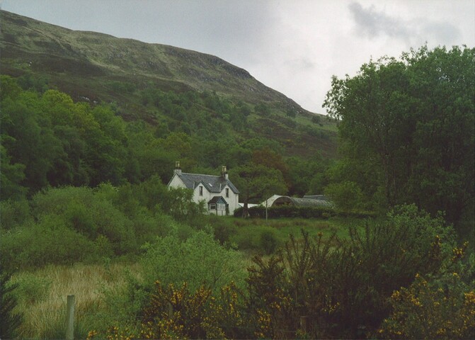 Photo,1.jpg