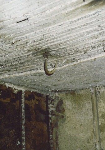 Photo,8.jpg