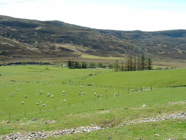 79 Strathkanaird (13).jpg