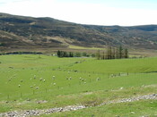 79 Strathkanaird (13).jpg