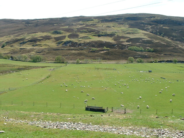 79 Strathkanaird (14).jpg
