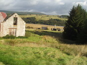 06.JPG