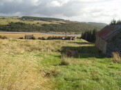 07.JPG