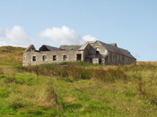 03.JPG